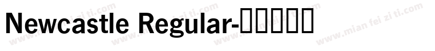 Newcastle Regular字体转换